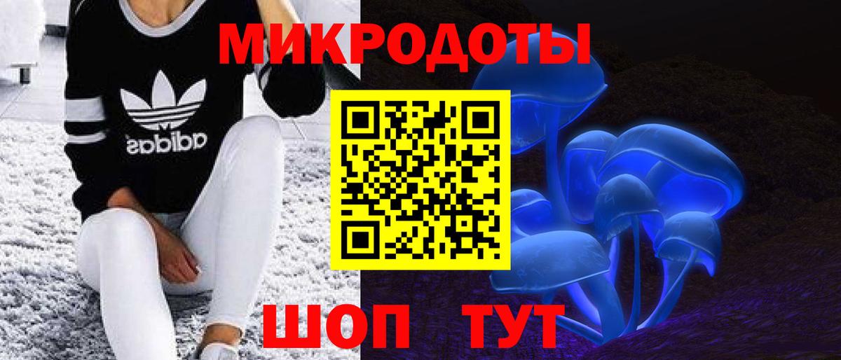 Галлюциногенные грибы Psilocybine cubensis Щёлково
