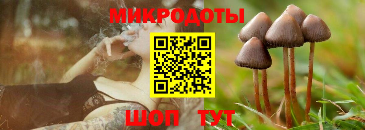 Щёлково  Галлюциногенные грибы мицелий  хочу   Вход с VPN 