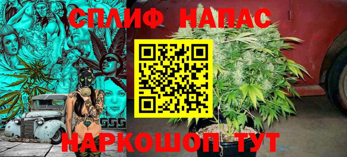 Бошки марихуана конопля  Вход с VPN  Марихуана гибрид  Конопля White Widow  Щёлково 